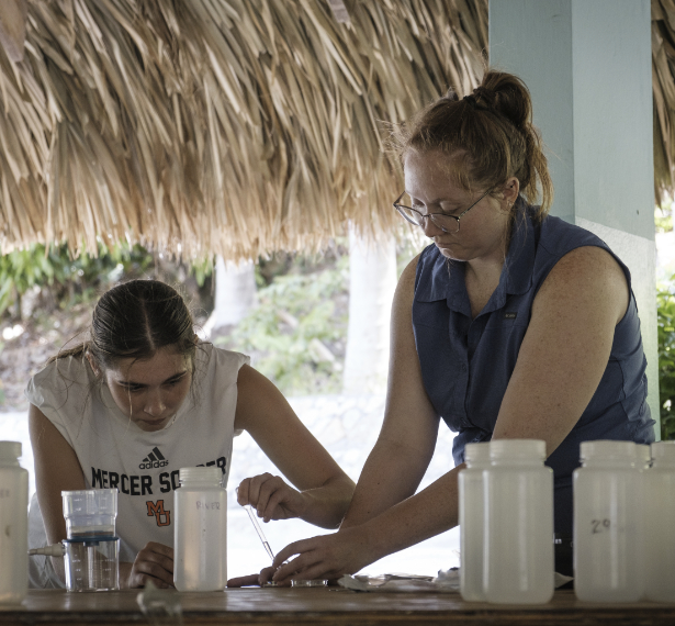 Nba Betting Websites